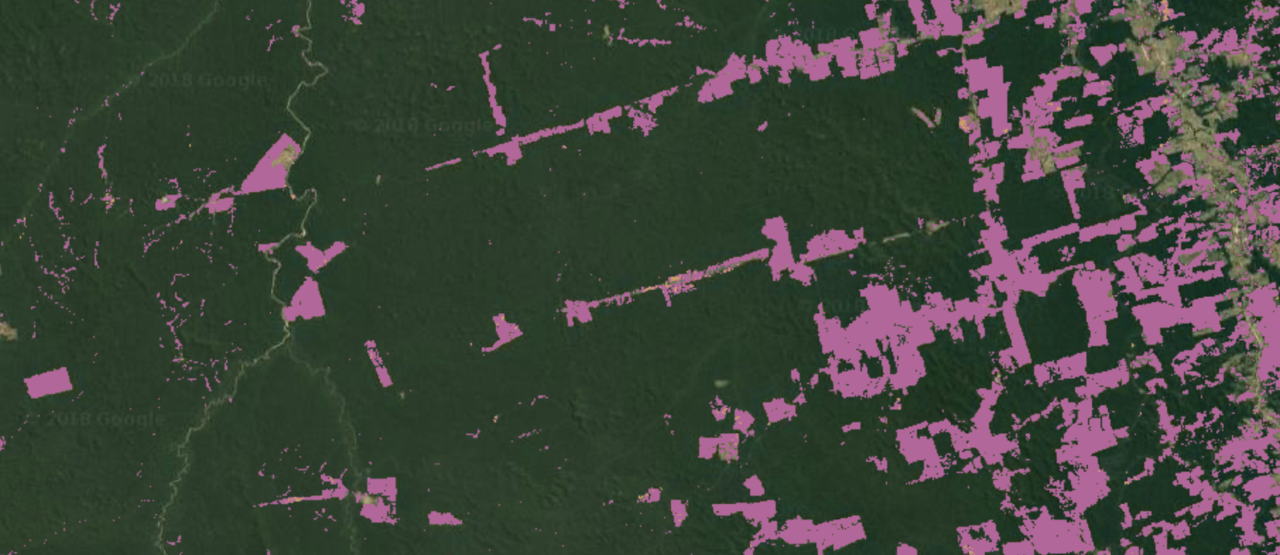 Amazon forest deforestation map