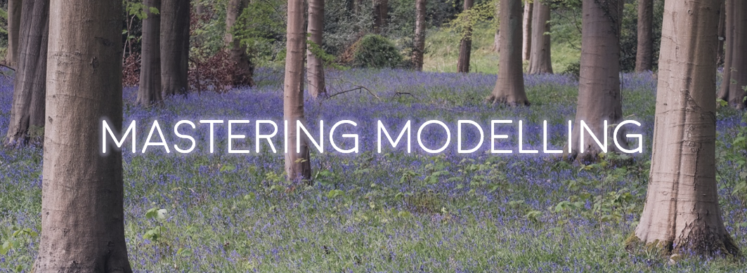 Stream 3: Mastering Modelling