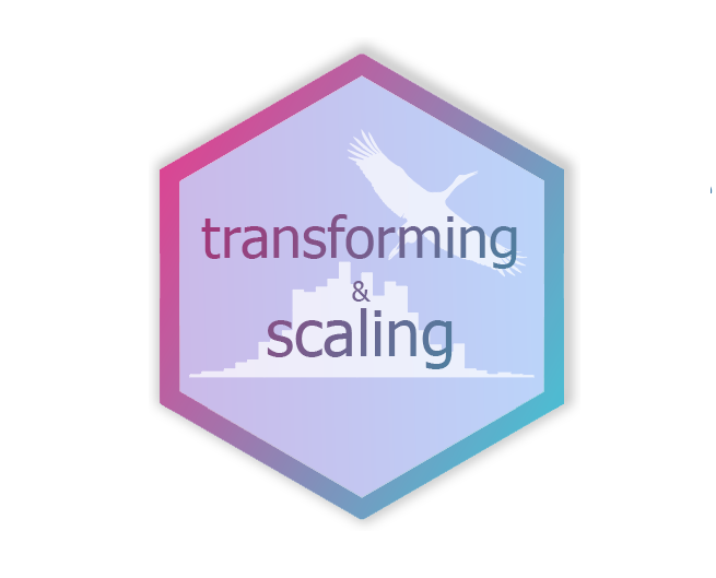 Transforming and scaling hex logo