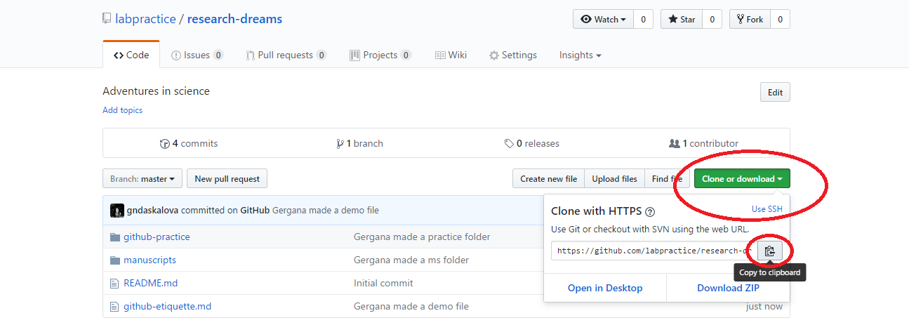 Github clone repository screenshot