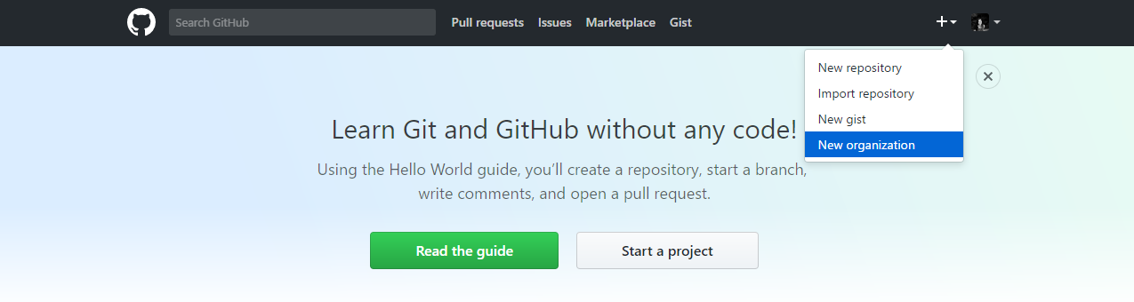 Github register organisation screenshot