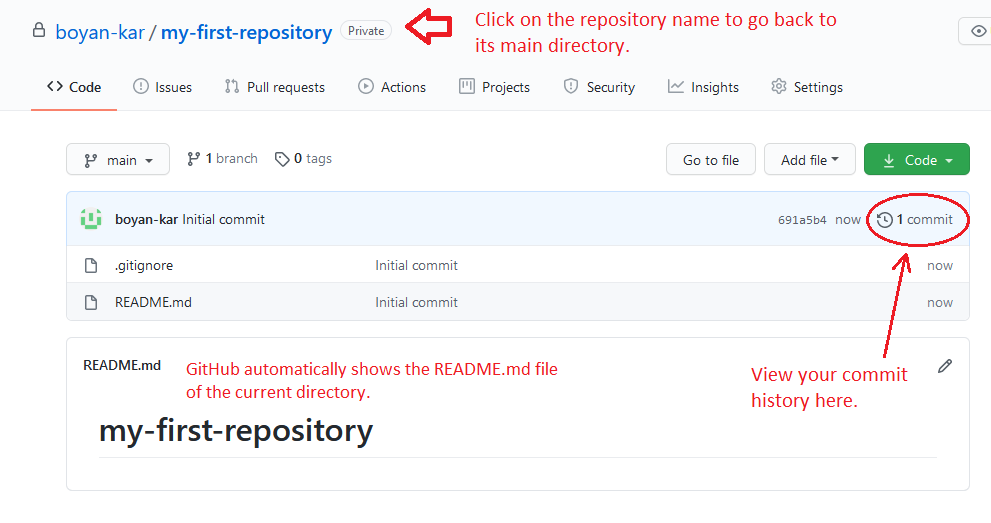 Github new repository first view