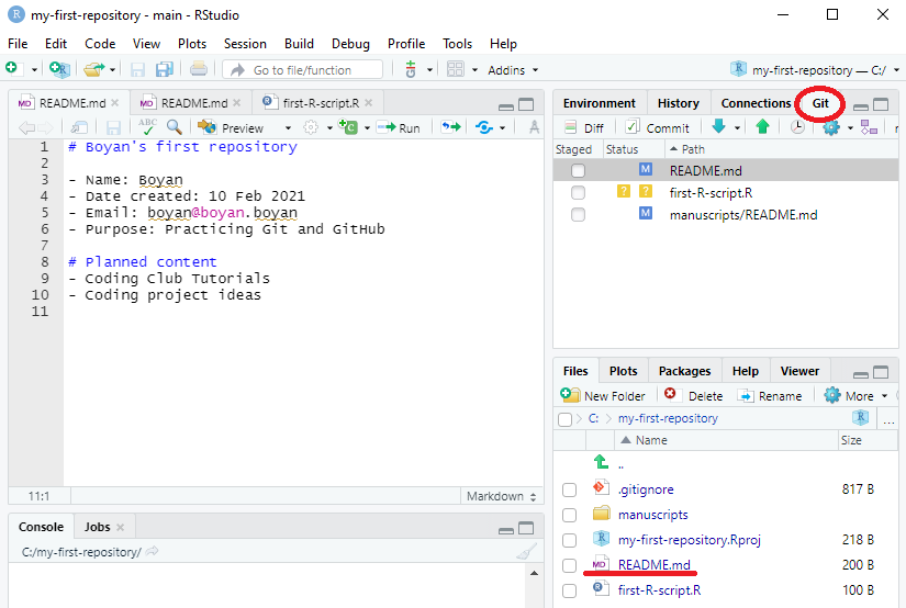 RStudio Git staging area screenshot