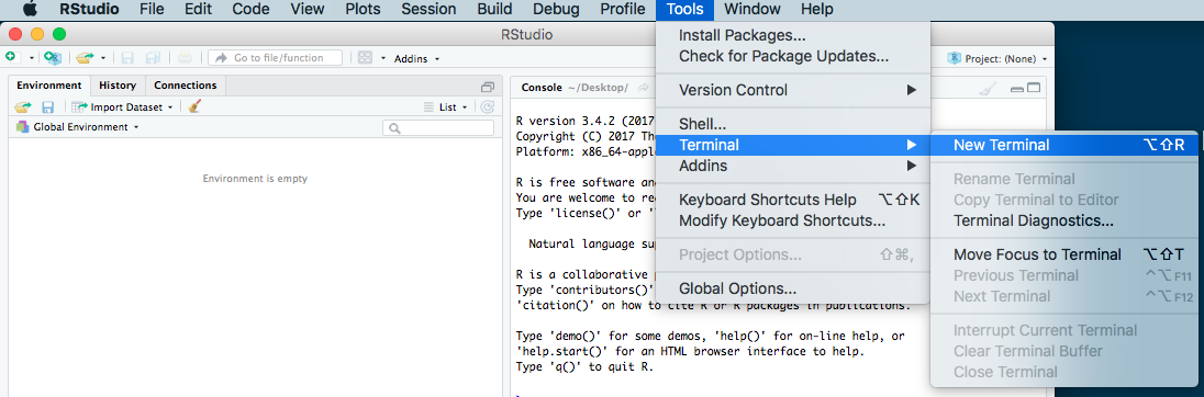 RStudio new terminal menu item screenshot