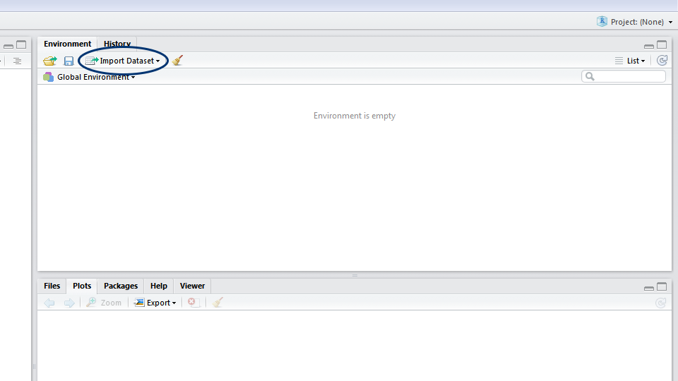RStudio GUI import dataset screenshot