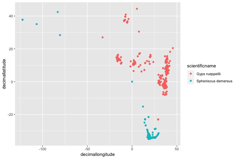 ggplot penguin distribution