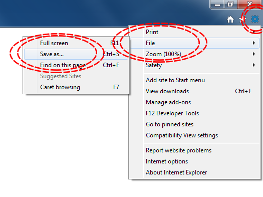 Internet Explorer save page screenshot